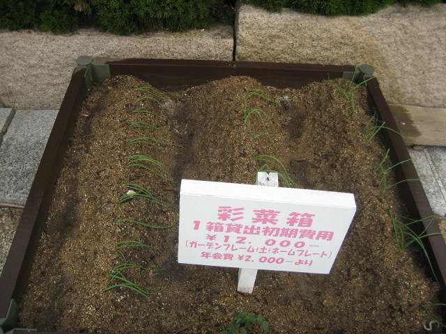 箱