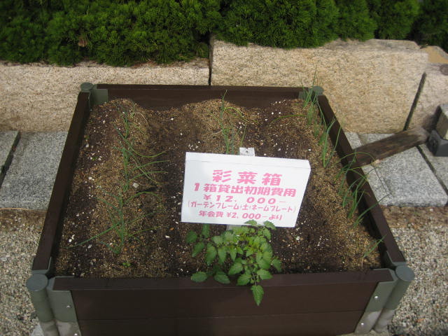 箱