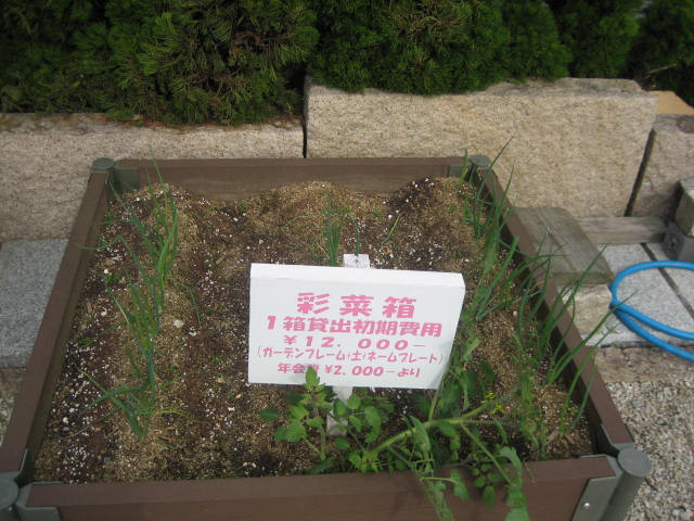 箱