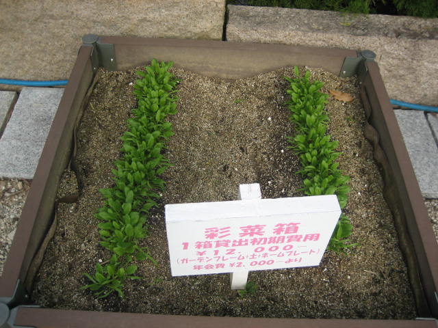 箱