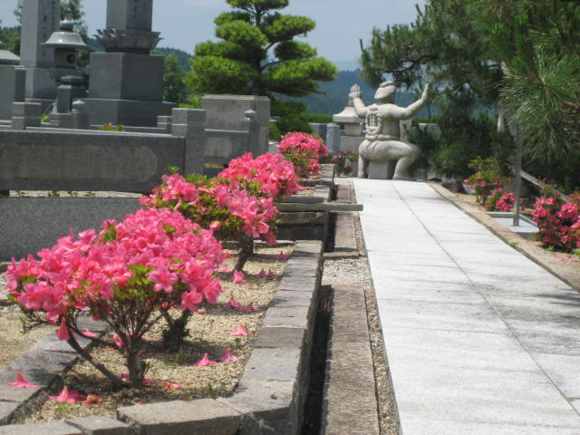 関取